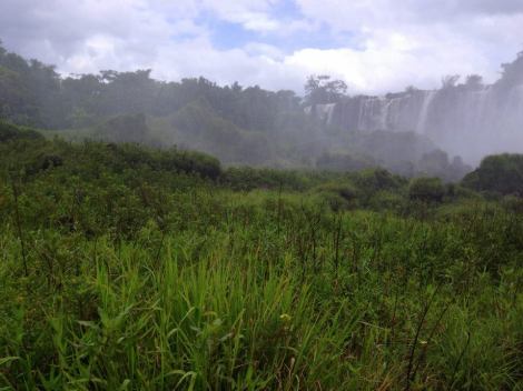 Be sure to visit the San Martin Island in the middle of the Iguazu Falls (get your ticket early)