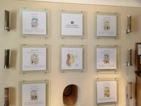 Learning about all of the soil in Argentina