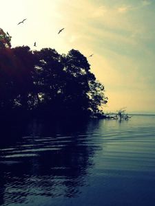 I love to see things off the beaten path. This was taken in Los Cayos somewhere away from the main islands.