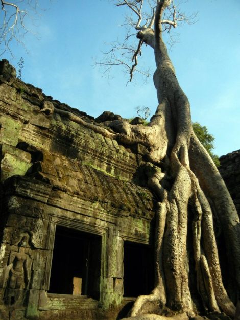 I no longer remember the real name of this temple in Siem Reap, only that they called it the Tomb Raider temple