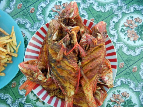 Our platter of red snapper