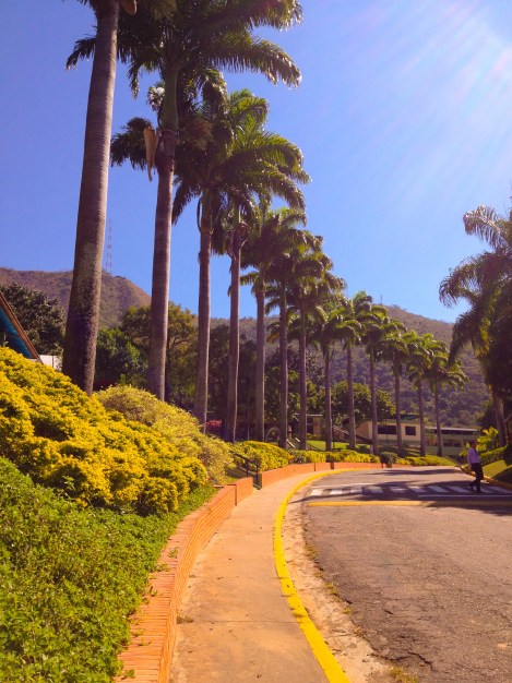 This is the last week I will walk on my campus UNTIL next August!