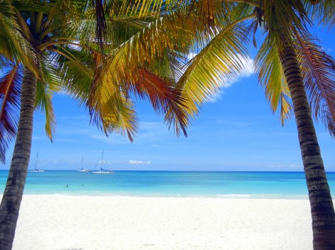 Pic I took of Isla Saona from my beach chair
