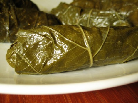Grape leaf dolma. Photo cred https://www.flickr.com/photos/tofuttibreak/2788936787/in/photolist-5fs2K2-63bXww-hxM1V-grpo8-WA3a6-6sF1qi-WA39r-5fjmQM-6XQj8G-ejEJZX-jdRU5d-7pyE3w-2MTFar-2MXFCh-2MWs9N-8uXyGE-8EGAtU-6sF27F-4YqmPb-5ErbU4-nEXxoa-5gVfTm-4Ym5KR-4YqjGs-4LnWtR-WCrGq-WCrDC-8EGAtQ-4Ym4ue-9b26pa-9b26d4-6sF1Q2-8MzBH8-7pv1LH-7pyRoh-7puWdg-7pyGeb-5YbzyS-hzbo5E-bW2GYY-j2i3nz-d4KQj5-5fjn7t-2yQLFZ-ni8WTc-dJEUjM-4Yqm2q-4YqgiC-mgcLZR-5pTdZr