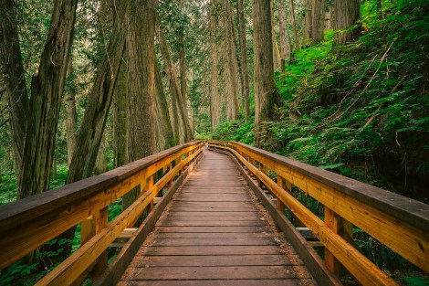 Photo cred https://www.flickr.com/photos/shawnhaines/14752153189/in/photolist-oxcks7-otADbM-osm9sh-oy9CSk-ovwQtC-ooggu9-opDrwP-o7LUPg-oiCNCD-ouhk9W-opCAqB-oMP1md-oLTKw8-otVqHX-oxdKsV-oKBEvj-oxGjBN-oKREVL-oGUqJR-o6CTtx-oi1dAf-onbLz5-oFQSFp-o7nSaV-objVDa-ovTDRP-or9FZa-onX9CZ-ofuj6w-offzAN-oqvamG-o8ERzN-oELszq-o7oAni-oDyPtG-ot5ePK-ovTMpV-ocYUMP-oytTfm-obg285-o7G5Av-oyLEr3-owHoZB-ouAfxs-o5SQXK-or2XwP-ovfDjV-oEY9iw-onTjx1-os1WWk 