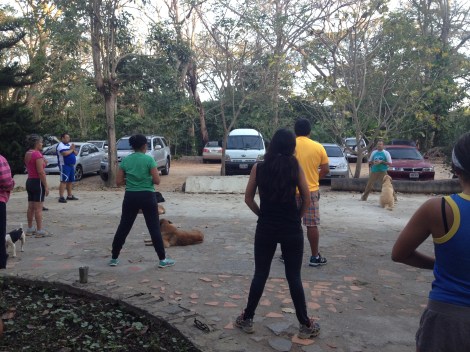 Stretching with the dogs