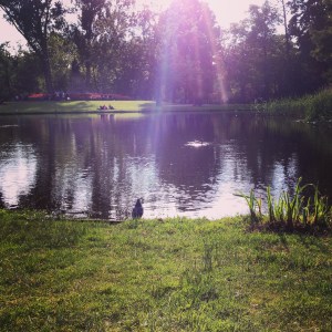 I had an early picnic dinner at the park