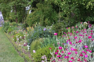 There are beautiful flowers everywhere