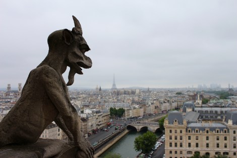 Maybe it is due to the cartoon show I watched as a child, but I LOVED the gargoyles at the Notre Dame