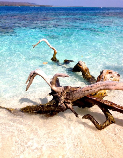 I took this pic on Cayo Sombrero last year and I think my school is bringing me back here on Friday!!!!