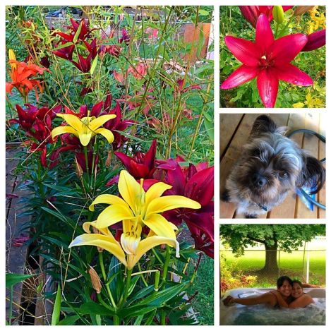 13437368_1615162128794116_1736929739_n