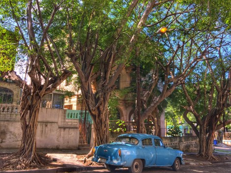 old-car-havana