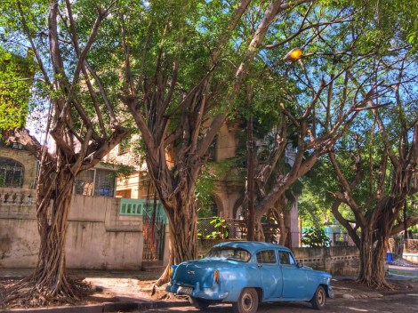 old-car-in-havana